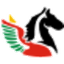 Air Burkina