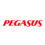 Pegasus Airlines