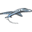 Twin Jet