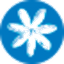 Air Tahiti Nui