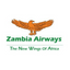 Zenith International Airline